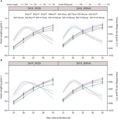Nitrogen fertilizer application rate affects the dynamic metabolism of nitrogen and carbohydrates in kernels of waxy maize